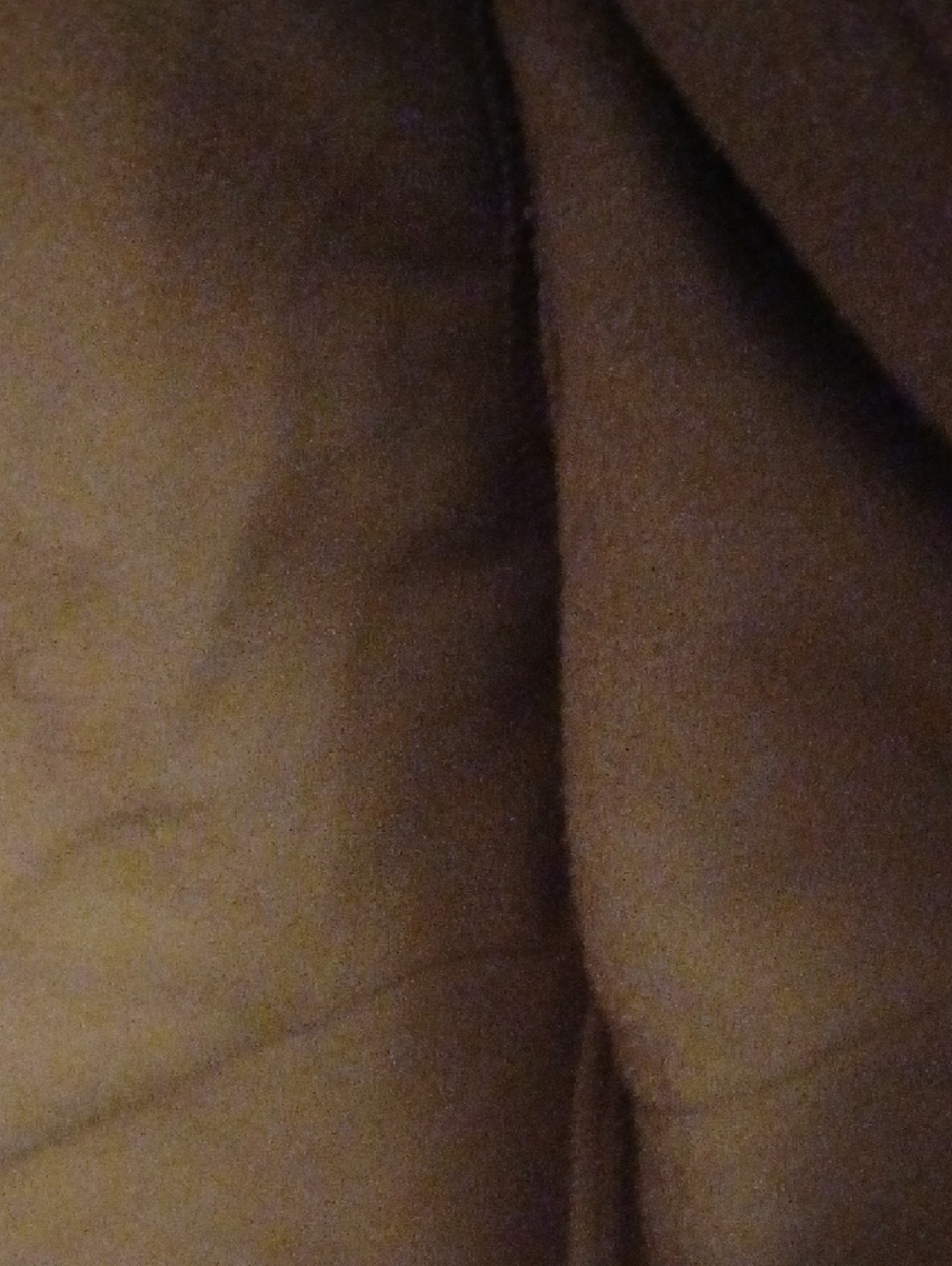 Reebok Brown Tan Hooded Performance Jacket - Picture 4 of 6